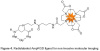  Radiolabeled AmpRGD ligand PRGC044